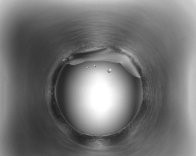 X0000089430736200706221211