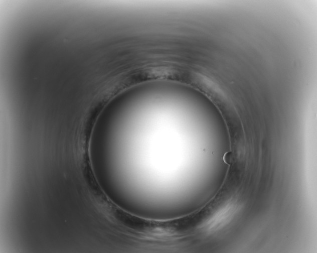 X0000089430737200706221211