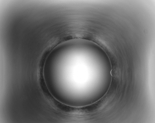 X0000089430738200706221211