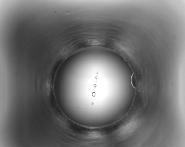 X0000089430741200706221211