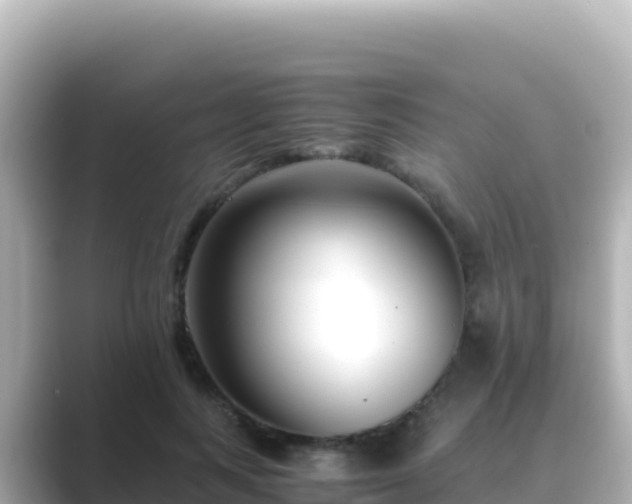 X0000089430743200706221211