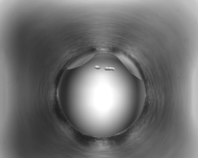 X0000089430744200706221211
