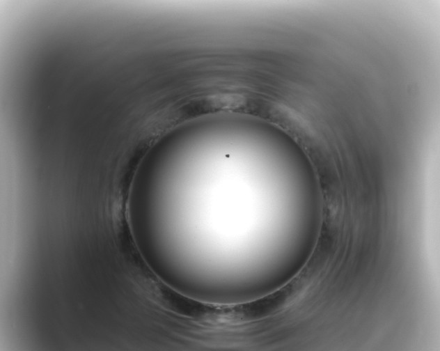 X0000089430745200706221211