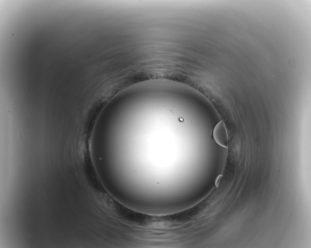 X0000089430746200706221211