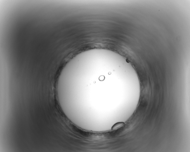 X0000089430749200706221211