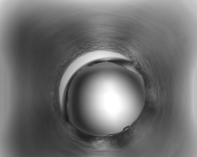 X0000089430750200706221211
