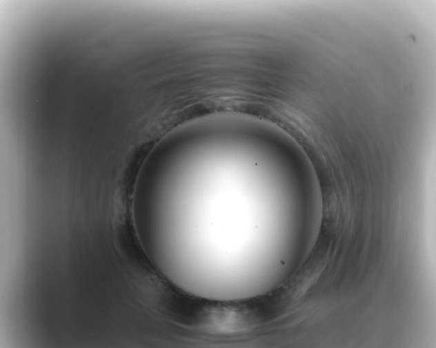 X0000089430751200706221211