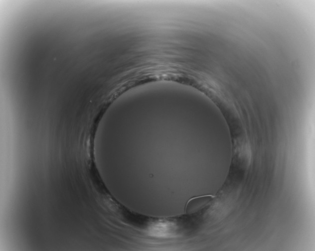 X0000089430754200706221211