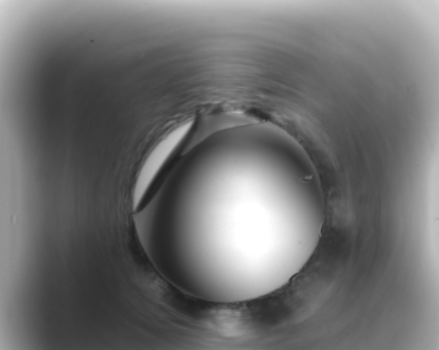 X0000089430756200706221211