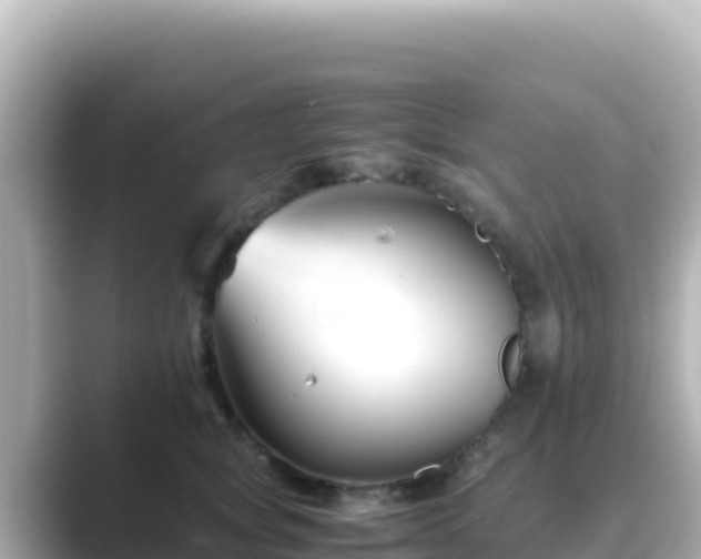 X0000089430757200706221211