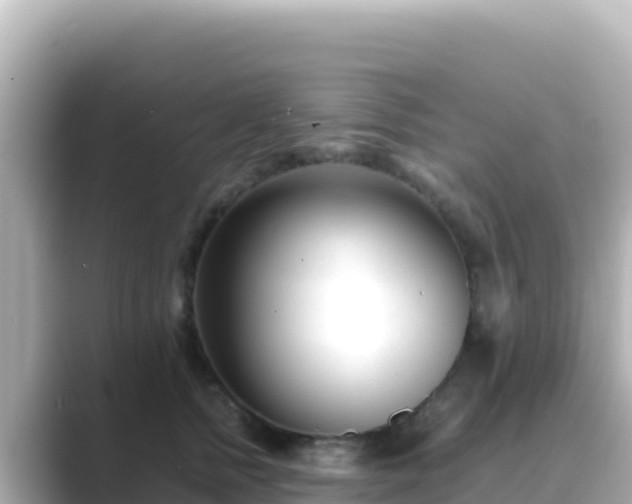 X0000089430758200706221211