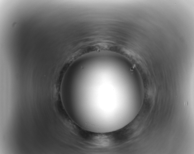 X0000089430759200706221211