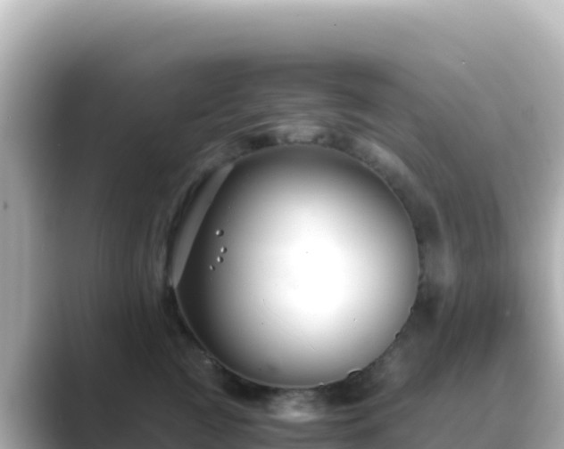 X0000089430761200706221211