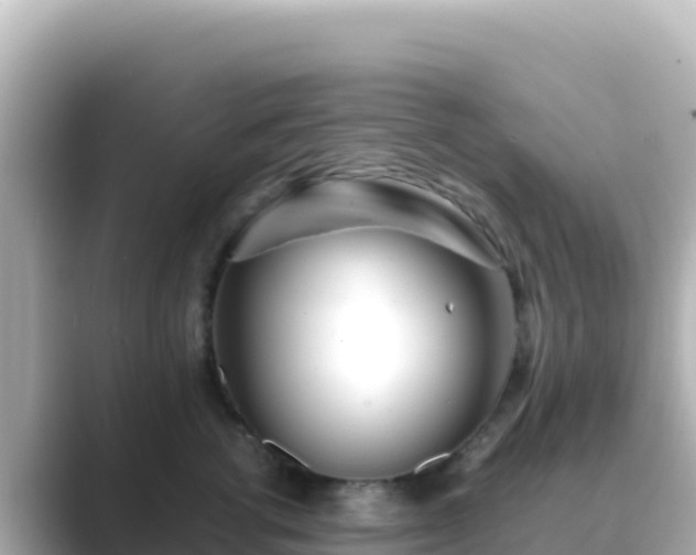 X0000089430762200706221211