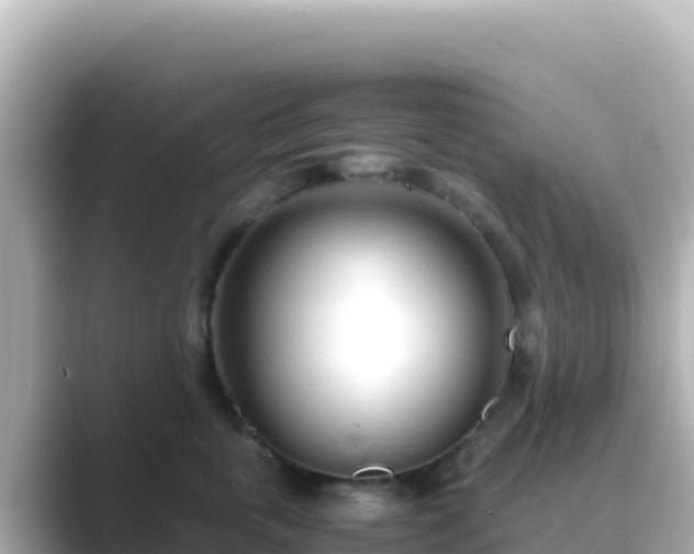X0000089430763200706221211