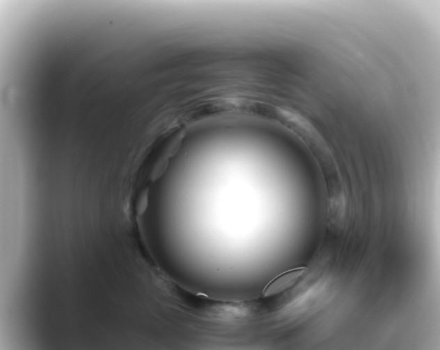 X0000089430765200706221211