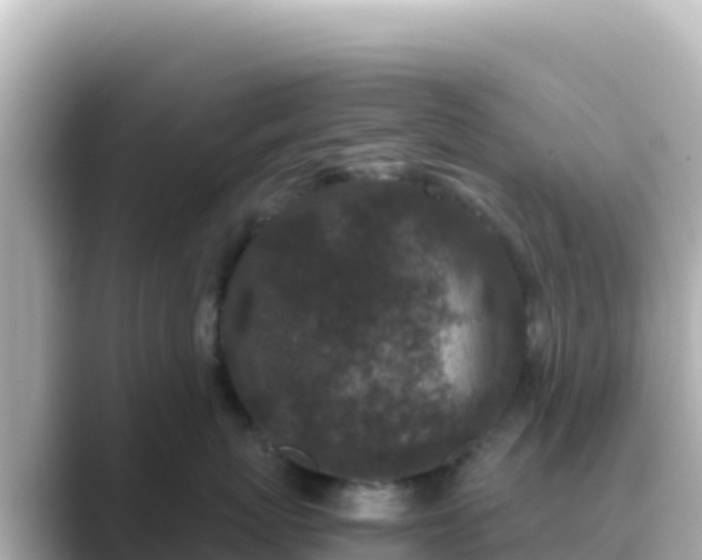 X0000089430767200706221211
