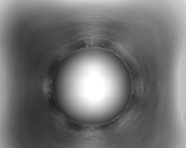 X0000089430770200706221210