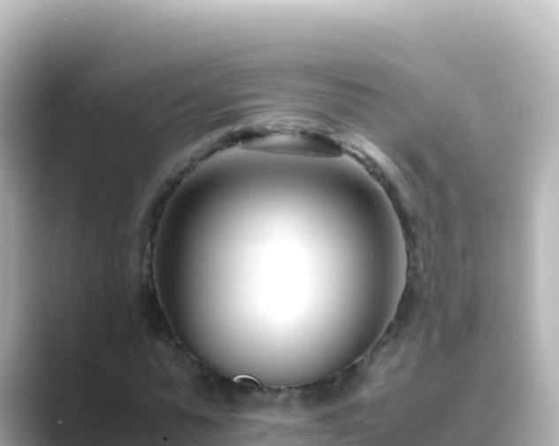 X0000089430775200706221210