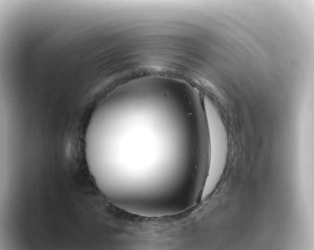 X0000089430776200706221210