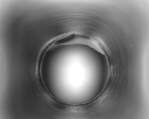 X0000089430780200706221210
