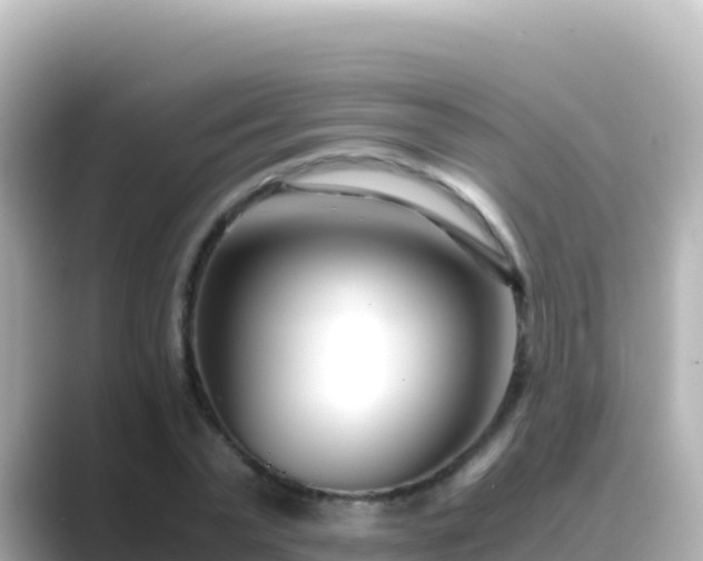 X0000089430783200706221210