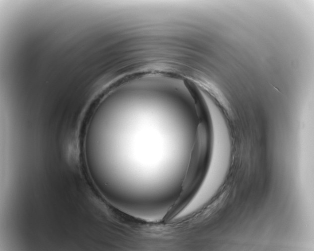 X0000089430784200706221210