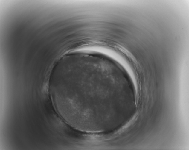 X0000089430785200706221210