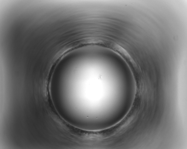 X0000089430786200706221210