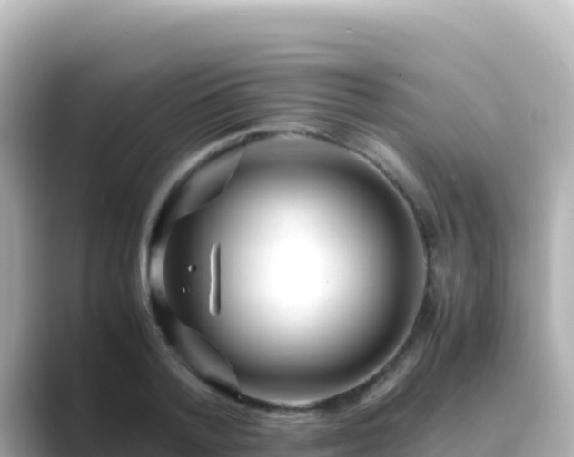X0000089430788200706221210