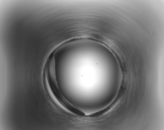 X0000089430789200706221210
