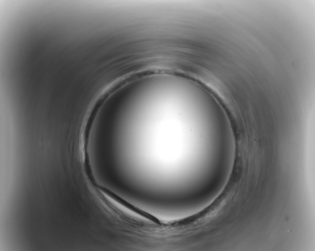 X0000089430791200706221210