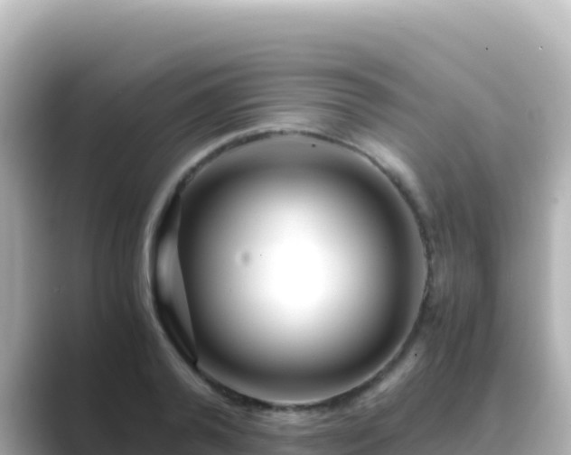 X0000089430792200706221210