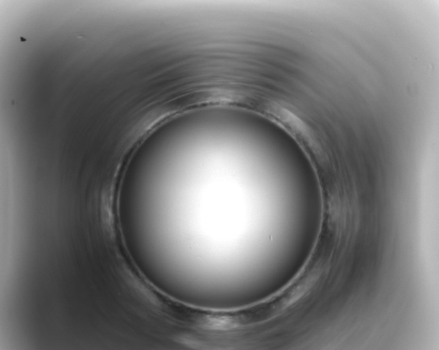X0000089430794200706221210