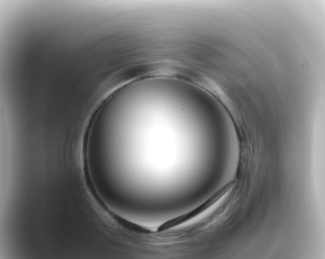 X0000089430795200706221210