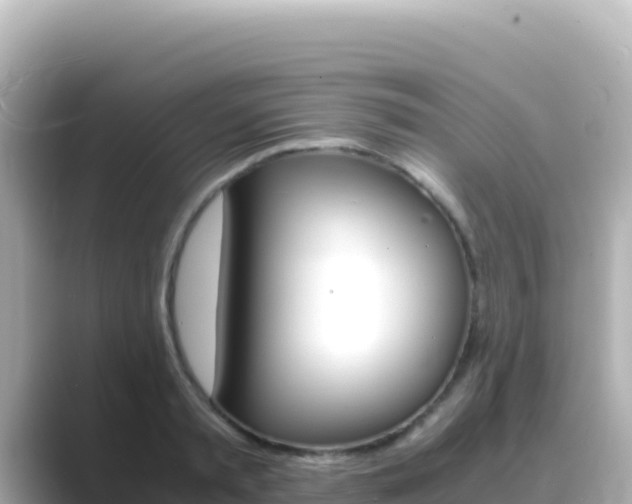 X0000089430797200706221210