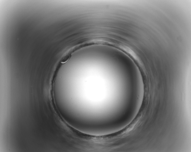 X0000089430799200706221210