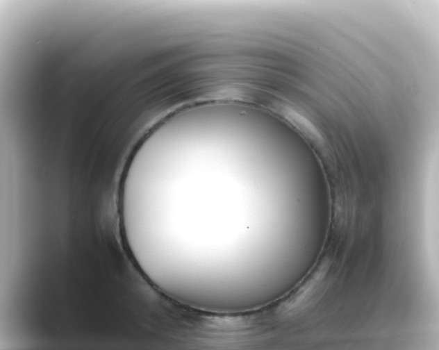 X0000089430800200706221210