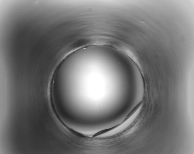 X0000089430803200706221210