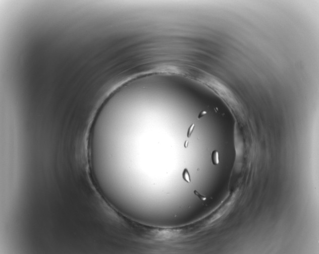 X0000089430808200706221210