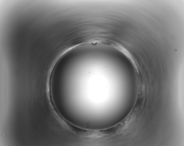 X0000089430811200706221210