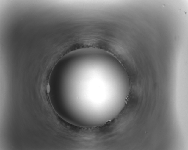 X0000089430817200706221209