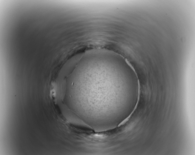 X0000089430818200706221209