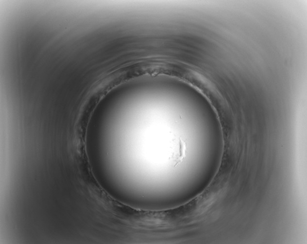 X0000089430823200706221209