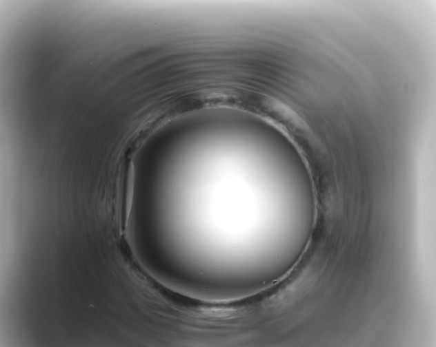 X0000089430825200706221209