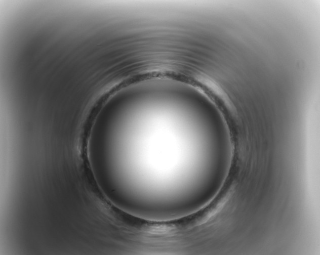 X0000089430826200706221209