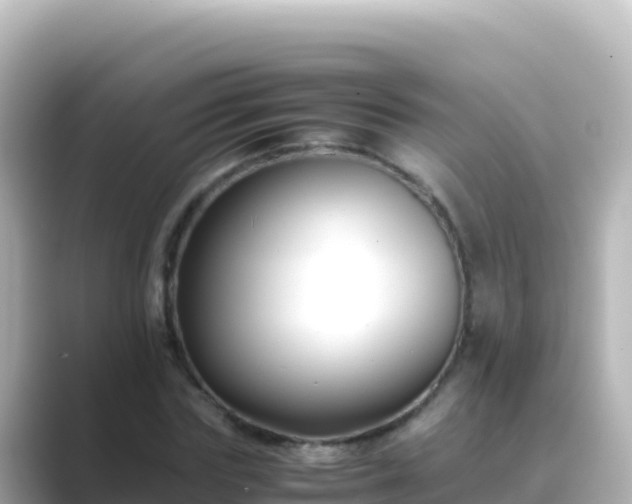 X0000089430827200706221209