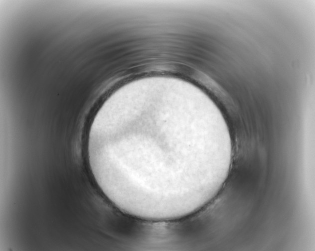 X0000089430828200706221209