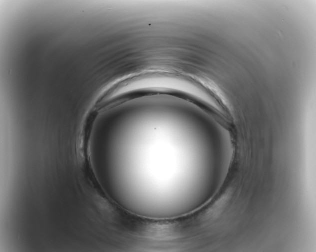 X0000089430830200706221209