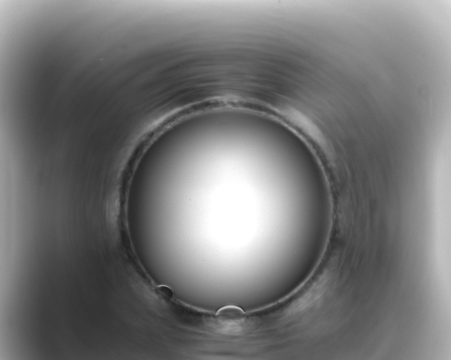 X0000089430831200706221209